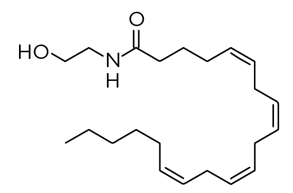 AEA Struktura