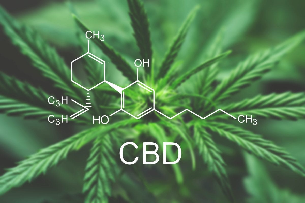 How long does CBD stay in your system?