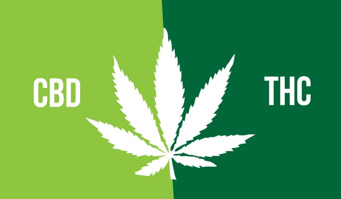 CBD y THC